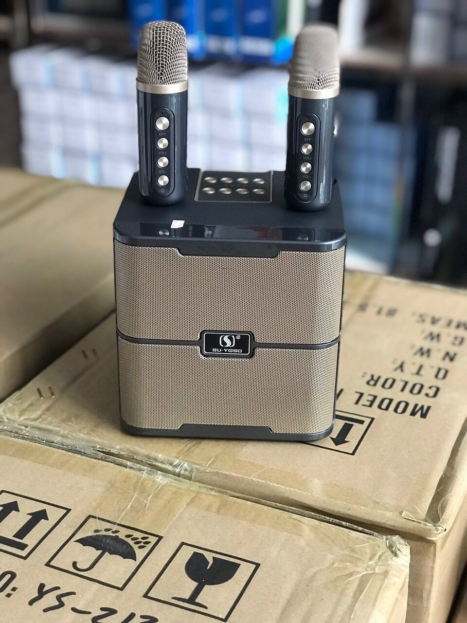 Loa karaoke mini kèm 2 mic ys213