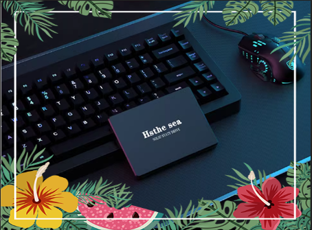 Ổ cứng ssd hsthesea 128gb - 240 g