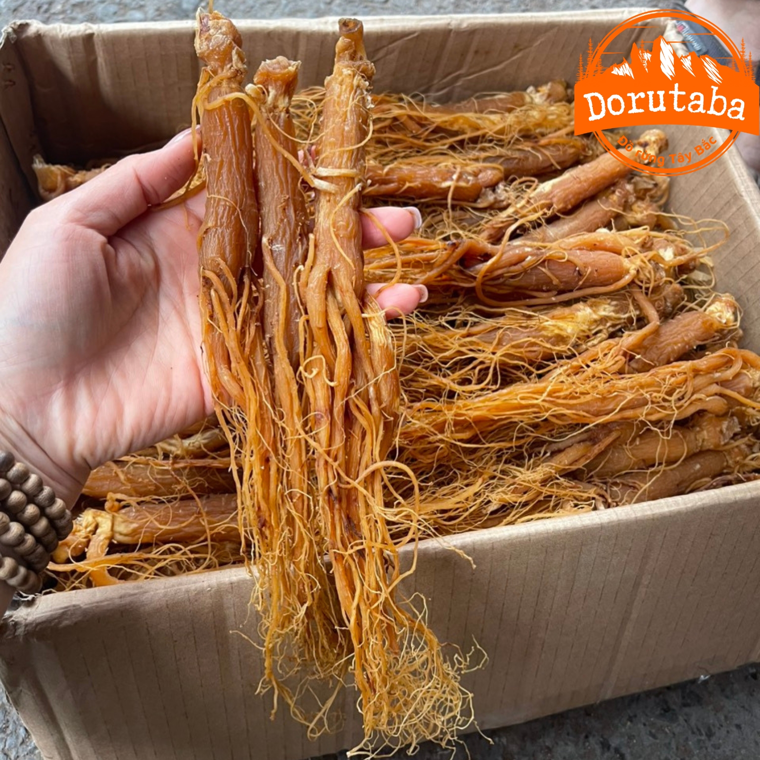 Hồng sâm Hàn Quốc sấy dẻo nguyên củ thượng hạng được sấy dẻo từ nhân sâm già nhiều năm tuổi cho bé, cho người lớn, cho người già