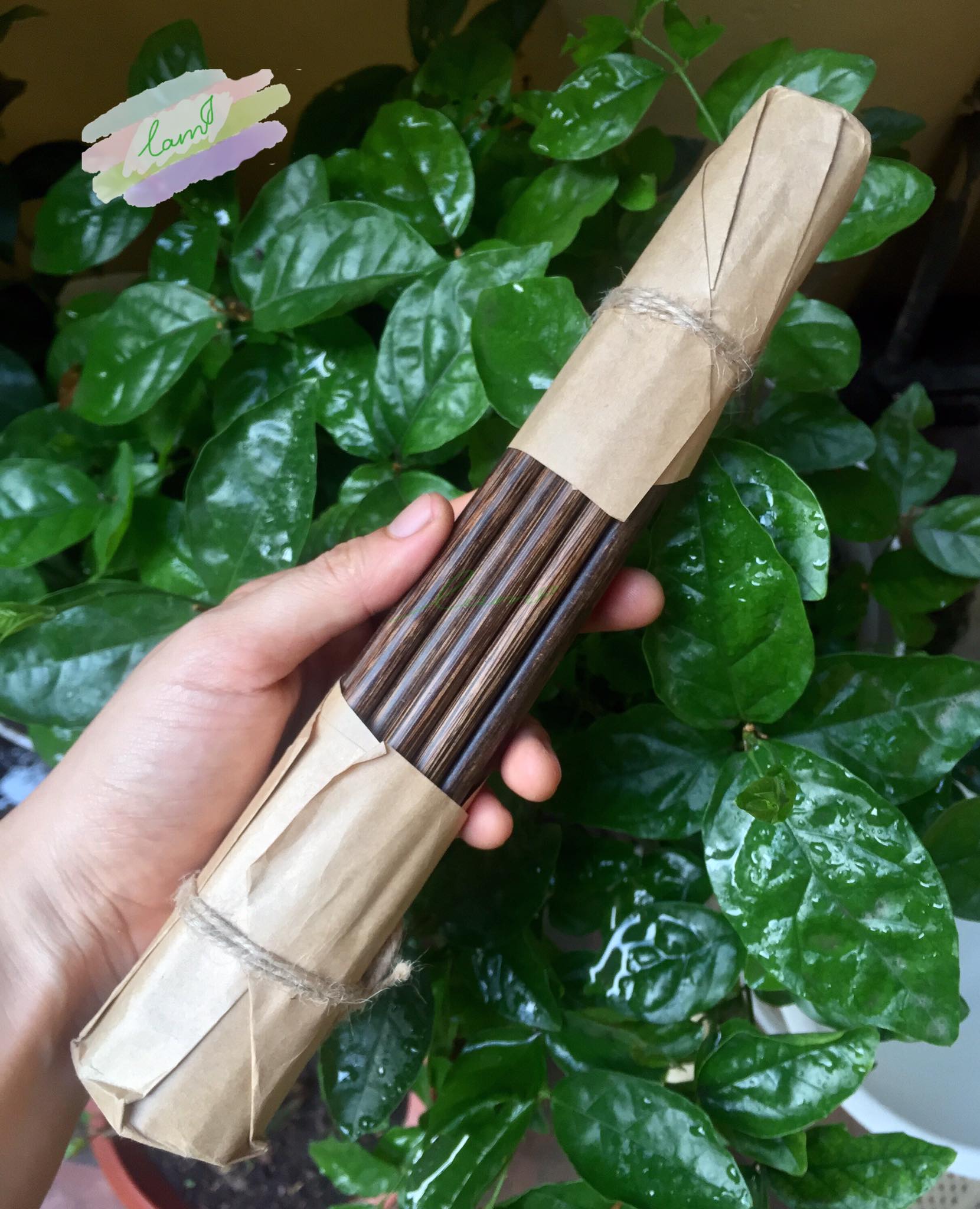 Đũa buông – Đũa Kè – Bền – Chắc – Dùng càng lâu càng Đẹp – Không lo mối mọt - Corypha Lecomtei Palm Chopsticks