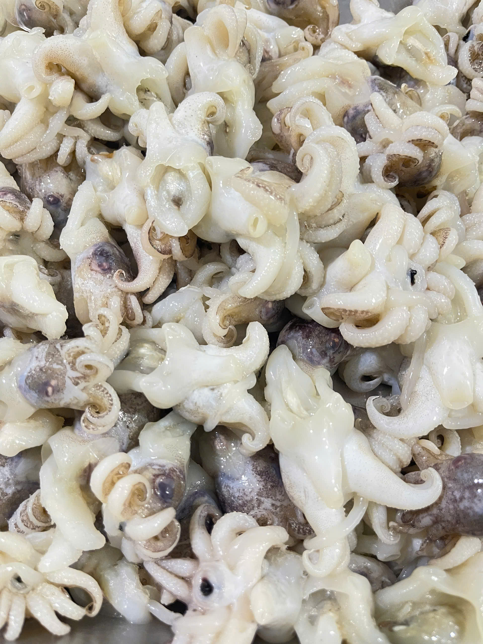 Đầu mực nang size 15-20 cái - Khay 500gr ( giao TPHCM )