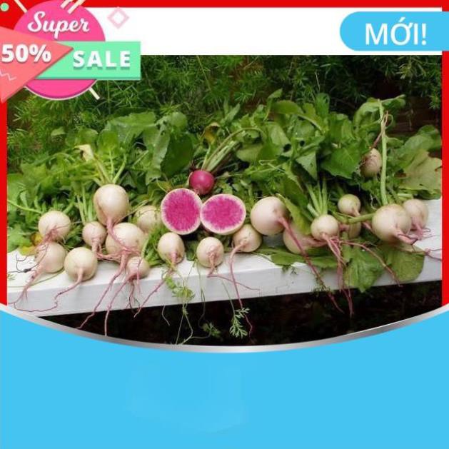 Hạt giống củ cải trắng ruột đỏ - 300 hạt
