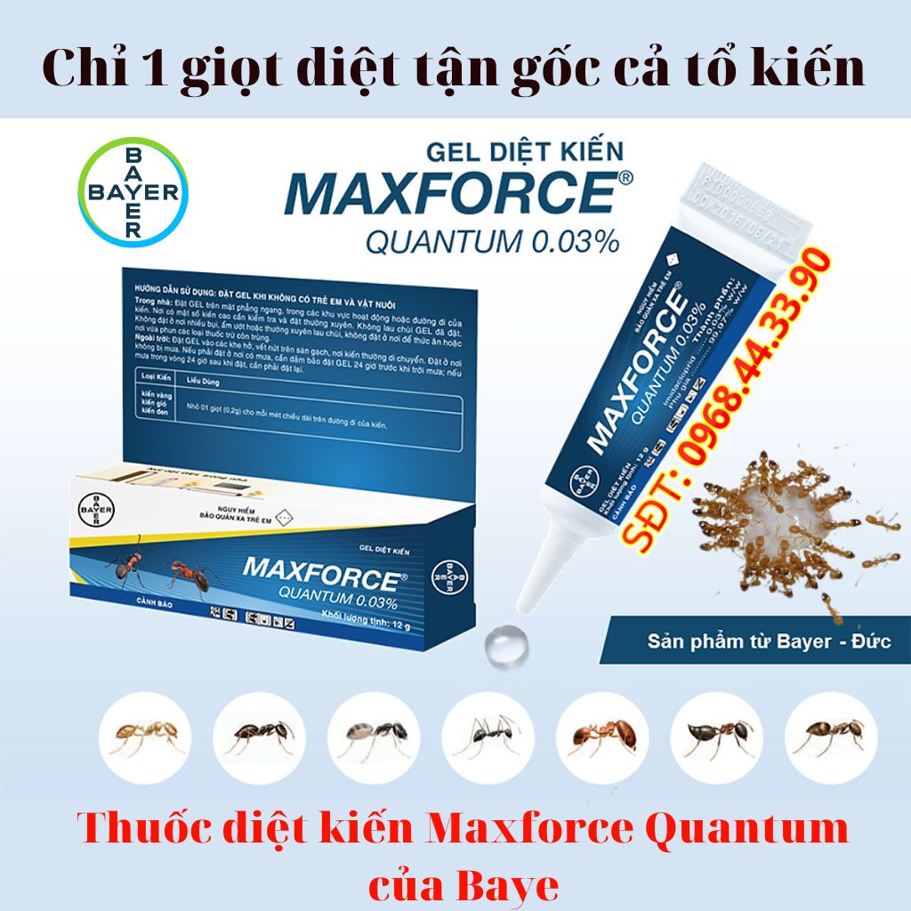 Thuốc diệt kiến Bayer Maxforce Quantum 12 gam tận gốc 100% dạng GEL date
