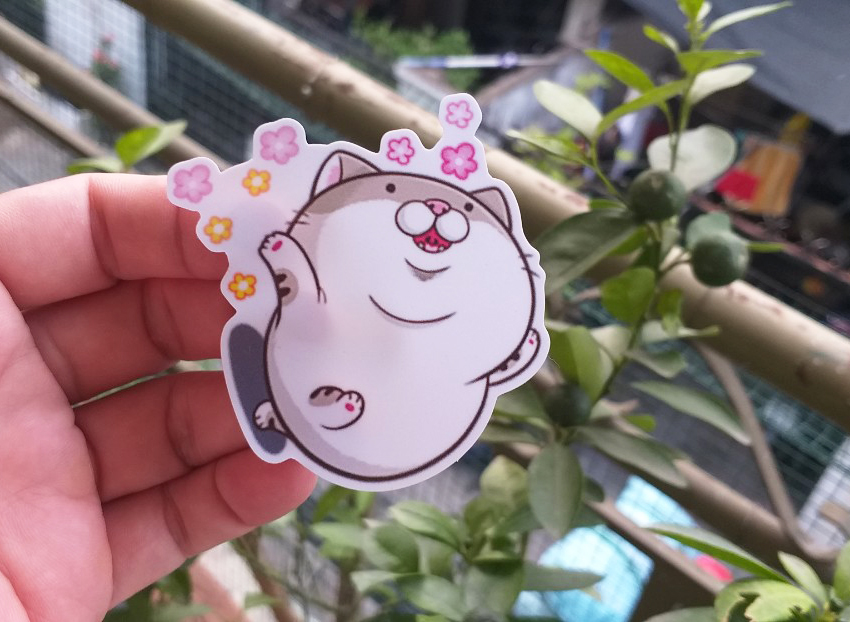 [HCM]10 tem dán Mèo Mập ngẫu nhiên không trùng lập sticker được cắt sản chỉ lột dán chống nước dùng trang trí nón bảo hiểm xe máy laptop điện thoại xe máy xe đạp vali đàn ghita bàn học phòng ngủ....