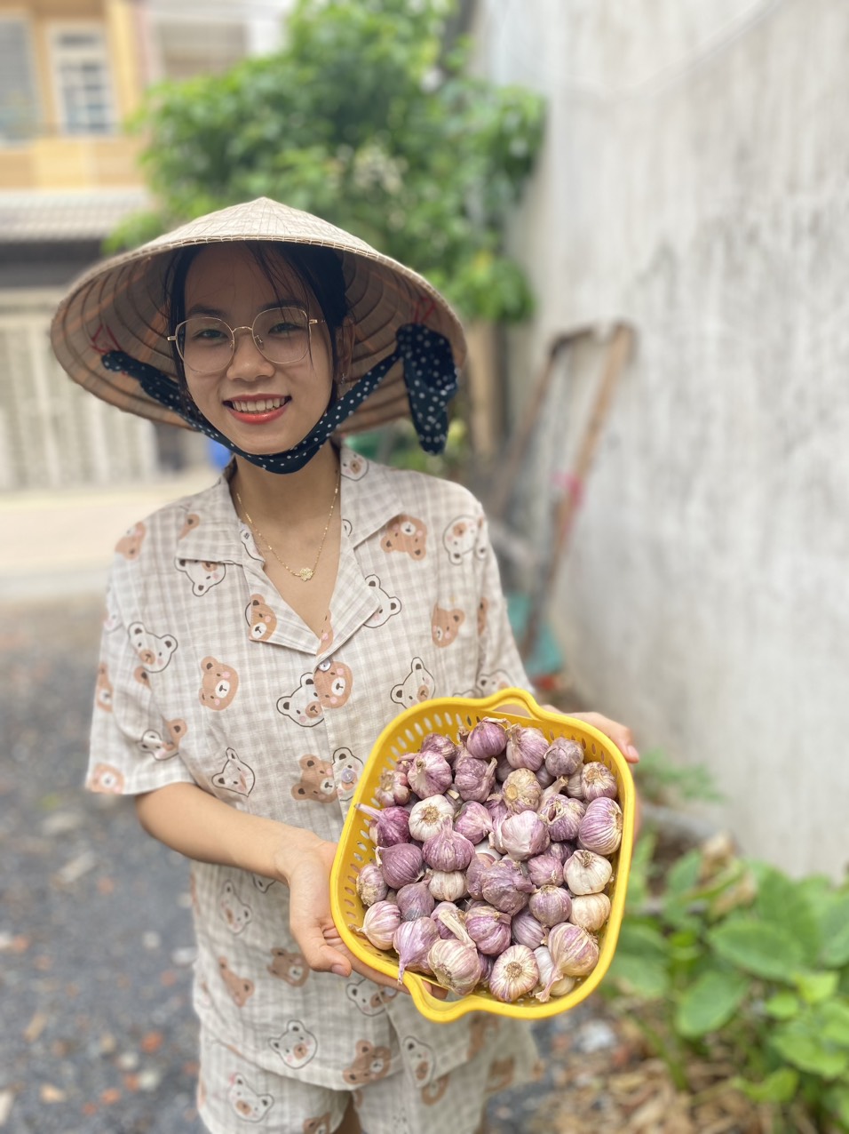 Tỏi tím đà lạt- hành tỏi khô bọc túi lưới loại 1- cân nặng 0.5kg-1kg