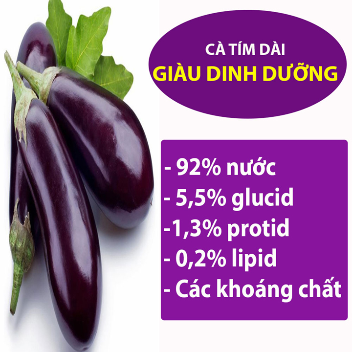 Hạt giống cà tím rado 205 rạng đông gói 0.5gram