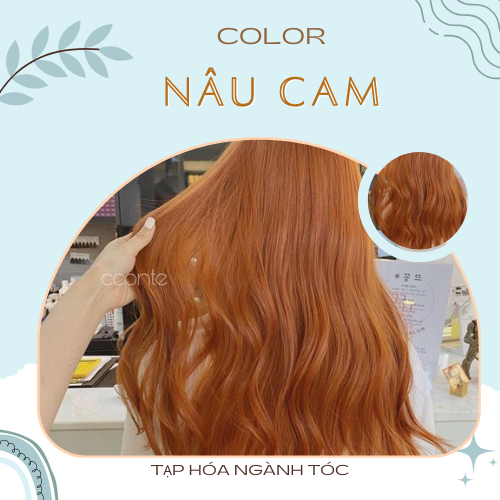 Thuốc nhuộm tóc Cam san hô không tẩy  Shopee Việt Nam