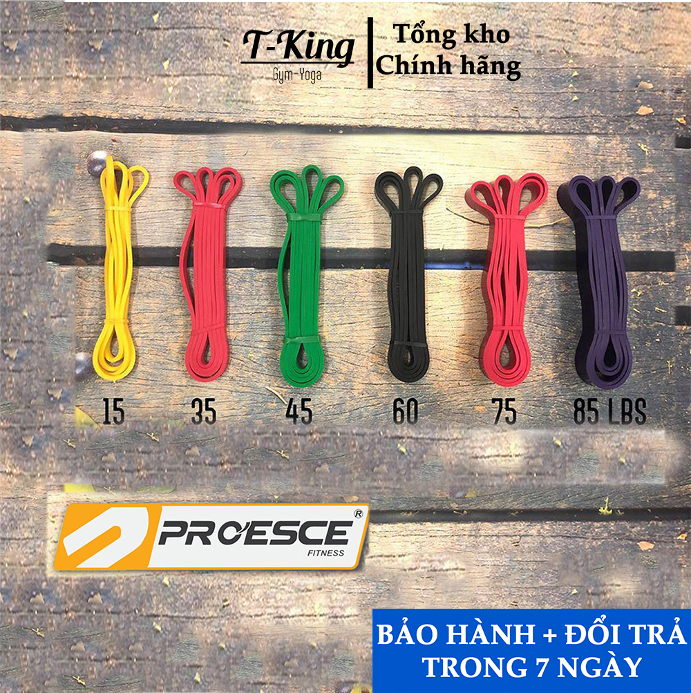 Dây kháng lực tập gym Powerband Tập Toàn Thân - Proesce - Cao su cực bền chắc