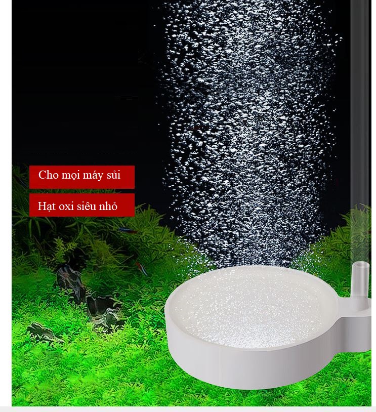 Đĩa sủi oxi nano siêu mịn nhiều kích thước