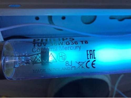Bóng đèn uv diệt khuẩn tuv 36w/1m2/ t8 philips