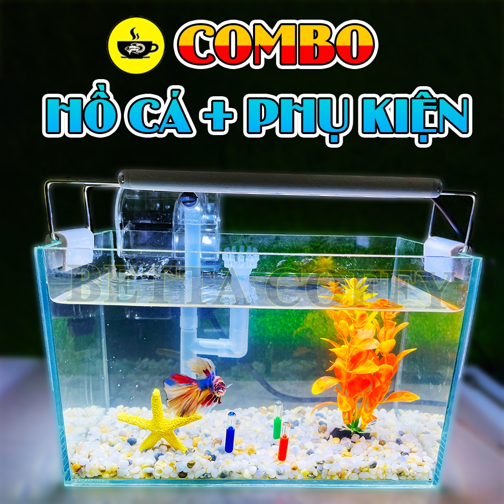 Combo hồ cá + phụ kiện đèn lọc cây sỏi trang trí bể cá bằng kính