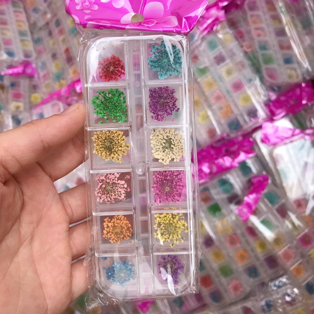 Set hoa khô nhí, hoa khô chùm ẩn móng nail