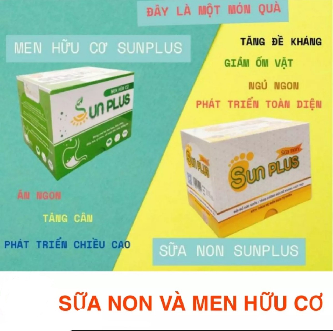 Men hữu cơ Sunplus + Sữa non Sunplus