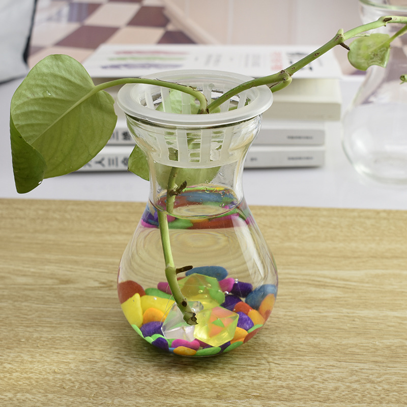 Bình cắm hoa thủy tinh thủy canh sáng tạo trang trí phòng khách - Bình cắm hoa tiên ông, hoa tu-líp (kèm phụ kiện)