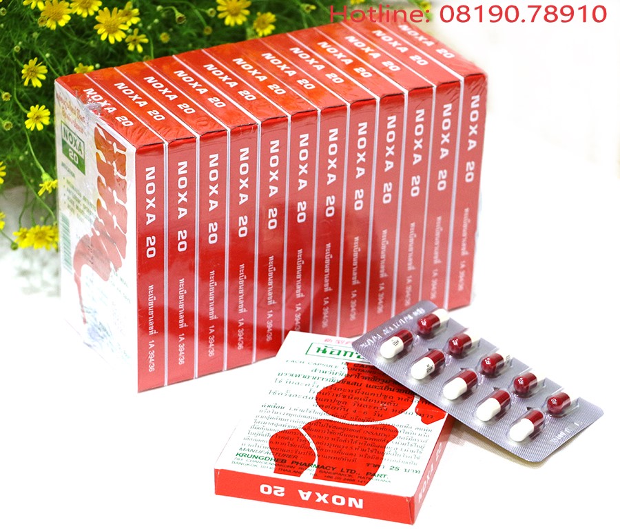 🌸🌱☘️ combo 1 lốc 12 hộp giúp giảm đau xương khớp noxa 20 thái lan - chính hãng 🌸🌱☘️