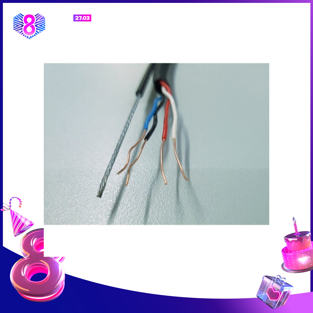 Cuộn 100m dây cáp mạng trục đồng 4 lõi bấm sẵn 2 đầu