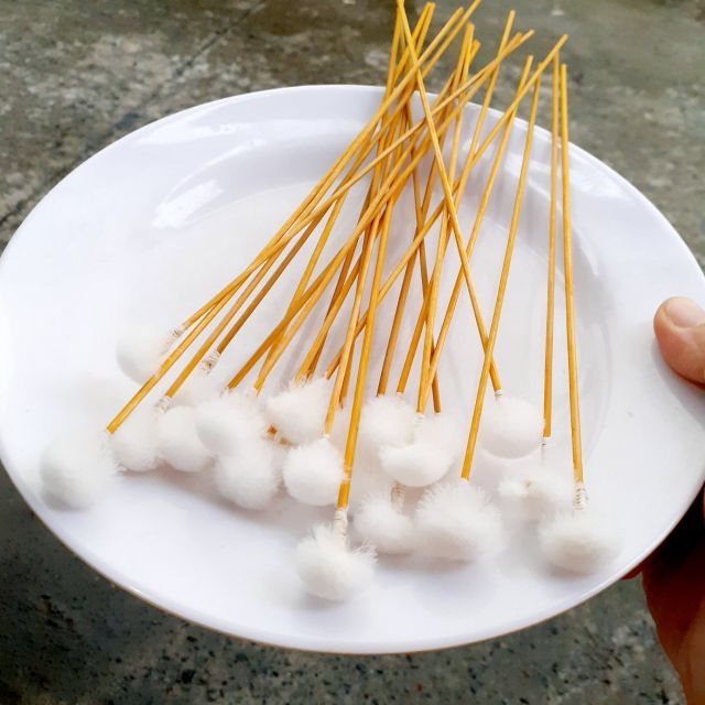 Cây bông ngoáy tai lông vịt - cây bông gà ngoáy tai 10 cai