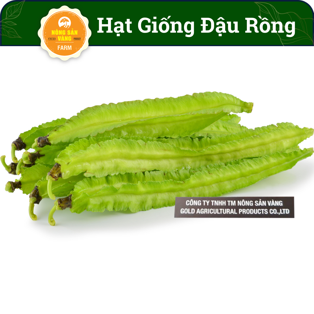 Hạt giống đậu khế giá trị dinh dưỡng khá cao, chế biến thành nhiều món ăn ngon bổ dưỡng - nông sản vàng