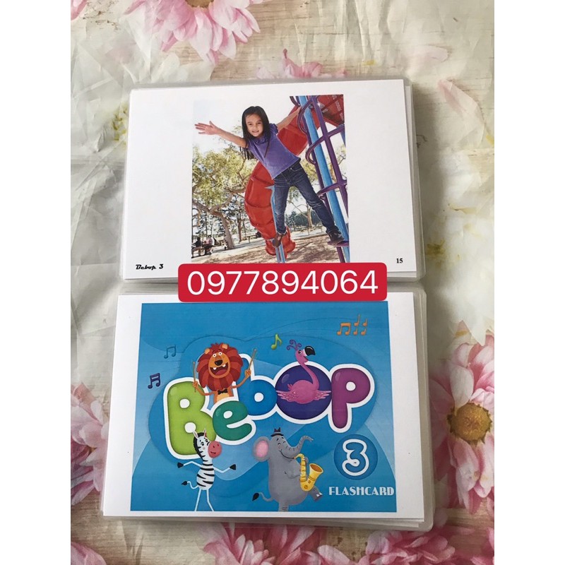 Flashcards Tiếng Anh Bebop 3 -74 thẻ kích thước A5 thiết kế hai mặt - ép plastics bền đẹp