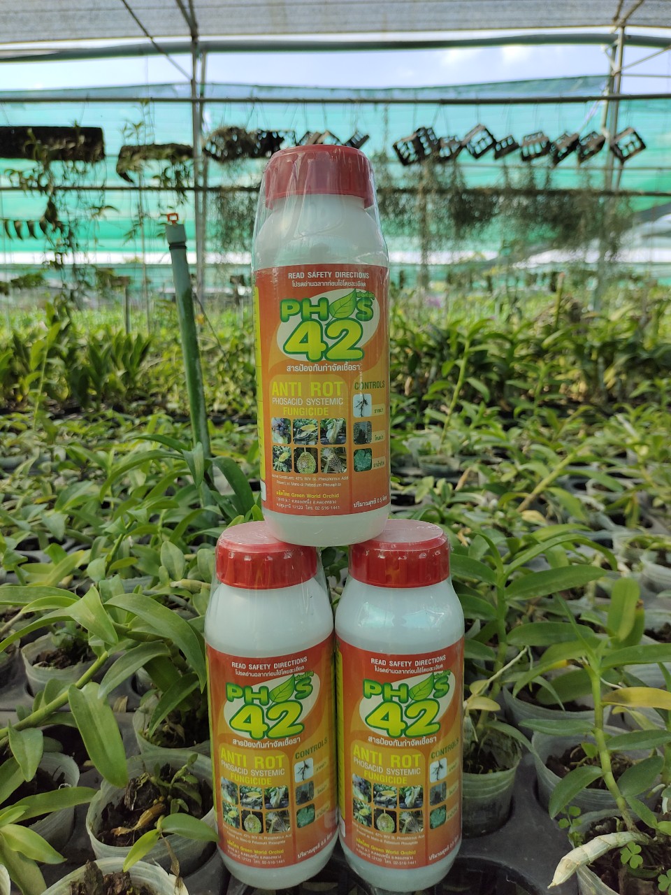 Phos 42 thái lan - 500ml _hàng nhập từ thái