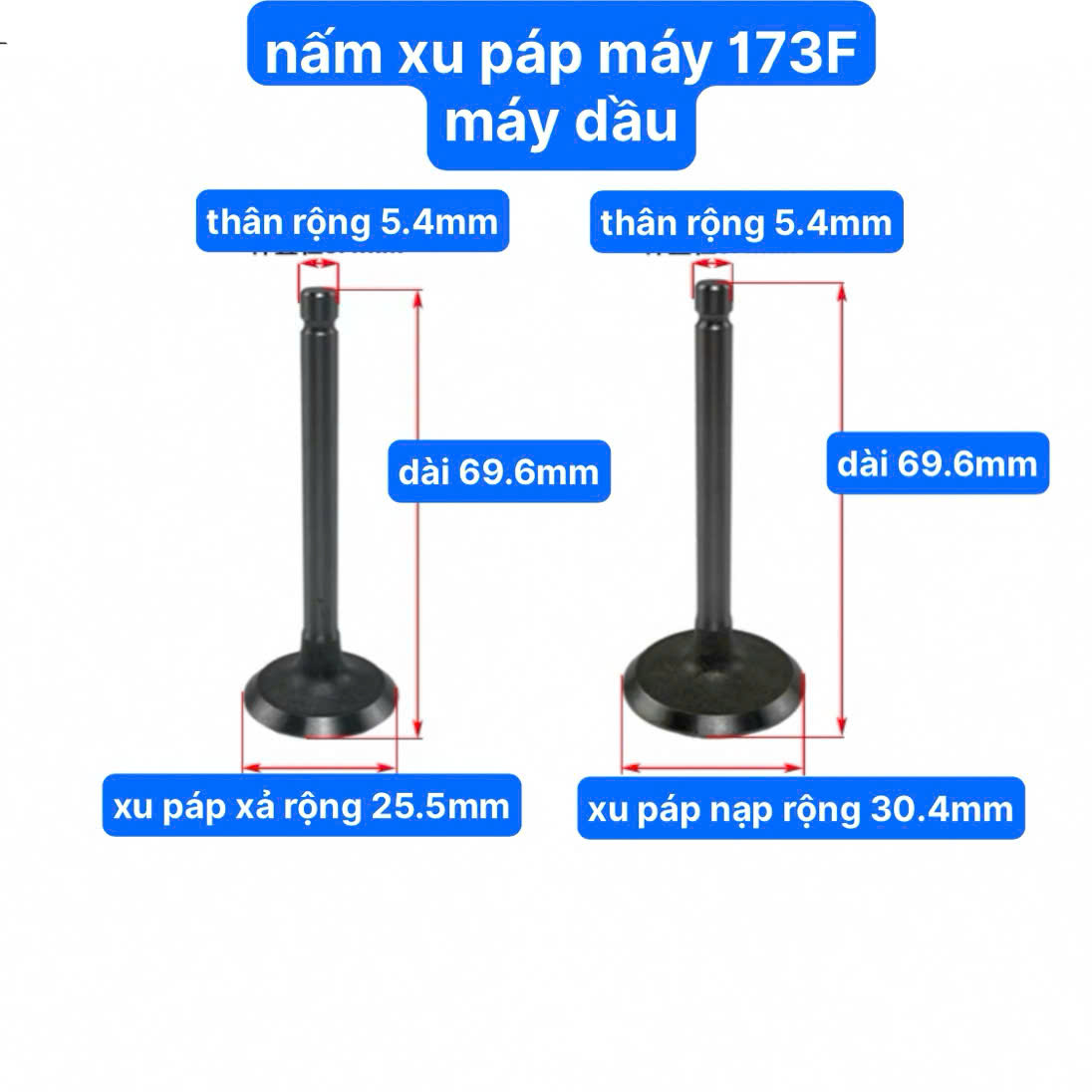 Bộ Đôi Nấm Supap Máy cày 173F Máy Dầu Su Páp Máy Phát Điện 173F Nấm Xu Páp Nạp Xả Khí (kho 6401)