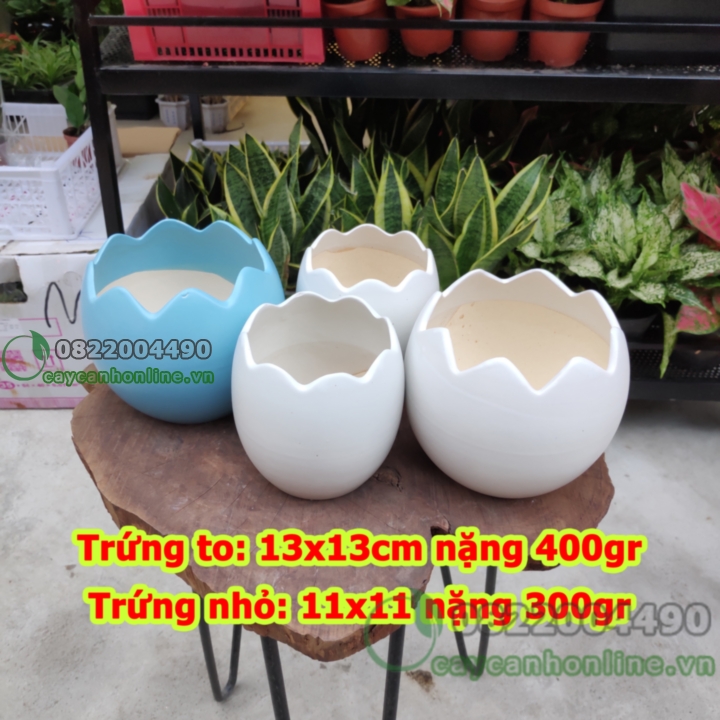 Chậu quả trứng gốm sứ trồng cây cảnh để bàn cây mini phong thủy