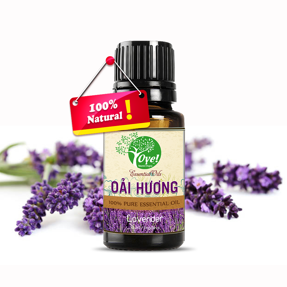 Tinh Dầu Oải Hương Nhập Khẩu - OYe 10ml - Kích thích sựu sáng tạo, chống say tàu xe