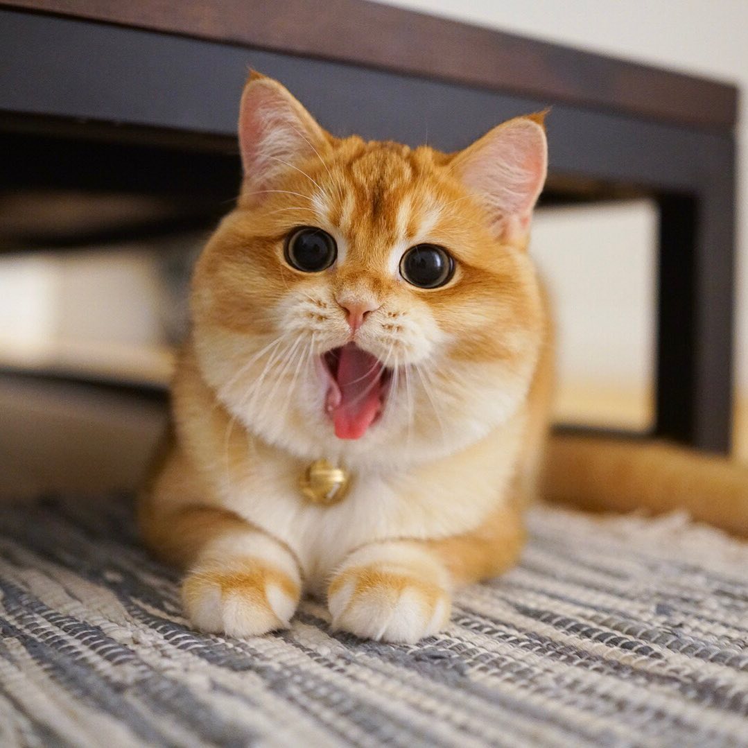 Sản phẩm ngày ấy và bây giờ