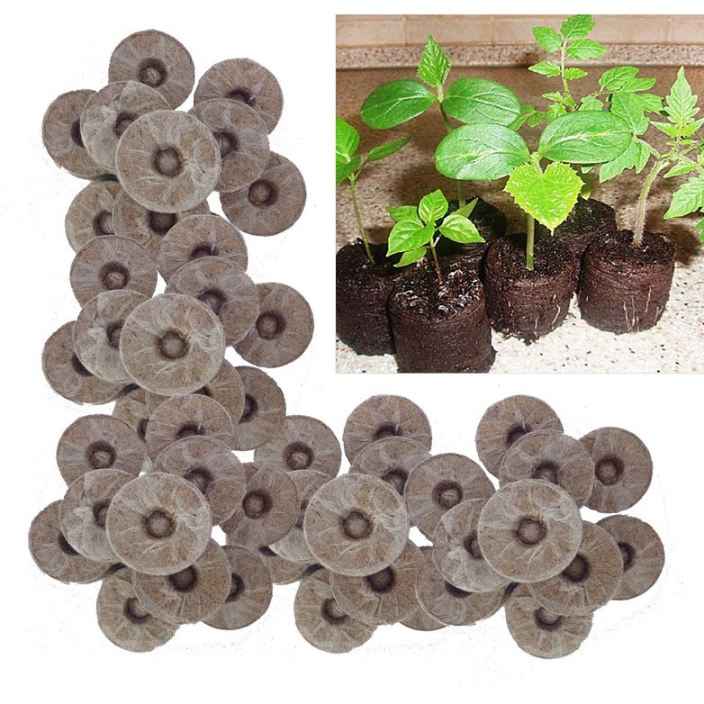 Viên nén xơ dừa, hộp 200 viên, ươm hạt giống, trồng cây, ươm hạt, ươm cây giống, trồng dâu tây
