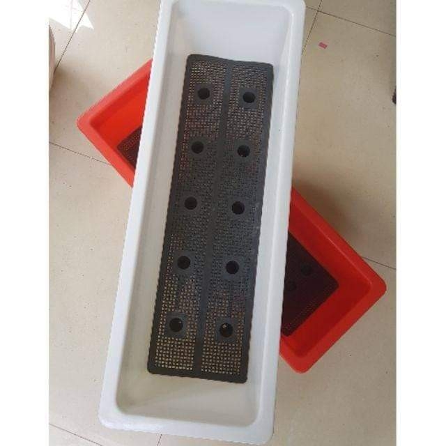 Chậu Nhựa Dài Trồng Rau, Trồng Hoa, Chậu Thông Minh Gồm Giá Treo Size 48cm ( Nhỏ)