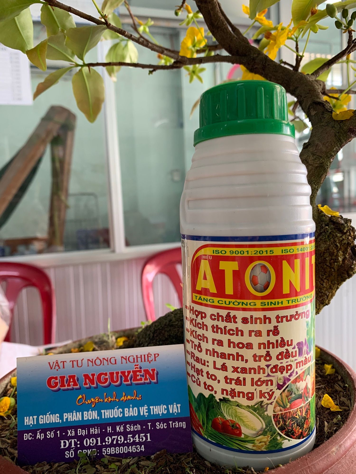 Tăng cường sinh trưởng ATONIT 500ml