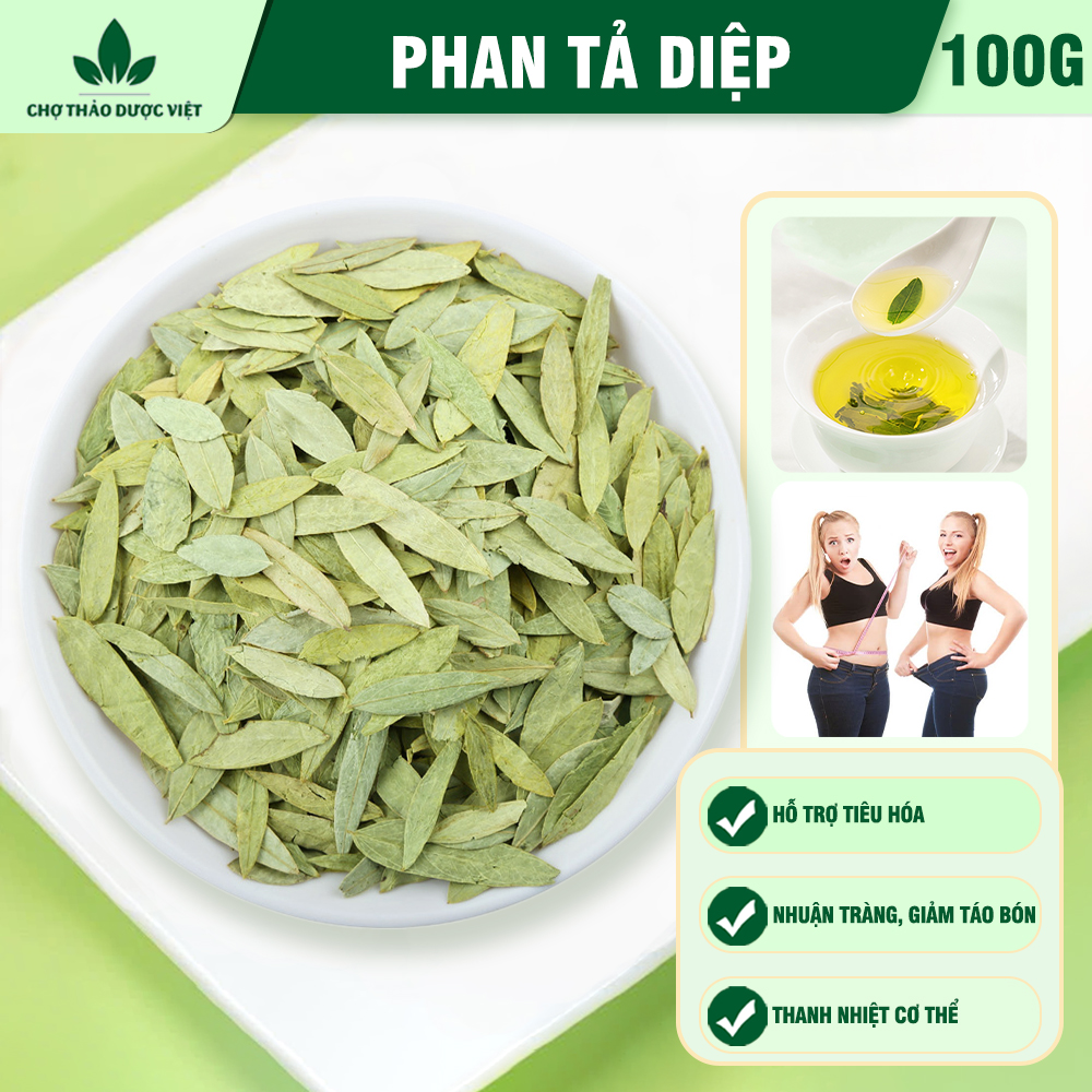 Phan tả diệp 100g, lá phan tả diệp khô, sạch, không vụn, không lẫn tạp chất - Chợ Thảo Dược Việt