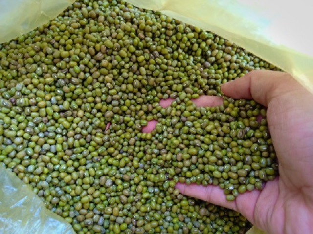 đậu xanh hạt nhỏ 500g nhà trồng hữu cơ cam kết nguyên chất