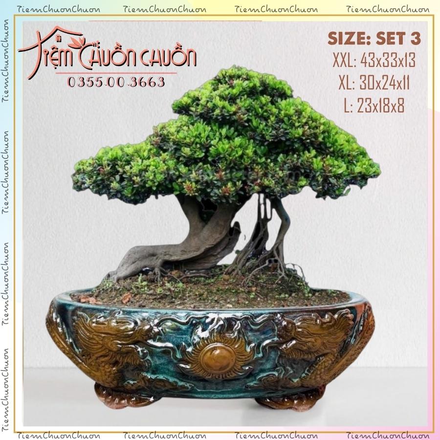 Chậu Oval Lớn Vân Đôi Rồng Trồng Cây Xanh Bonsai - chậu sứ tiệm chuồn chuồn Bát TRàng