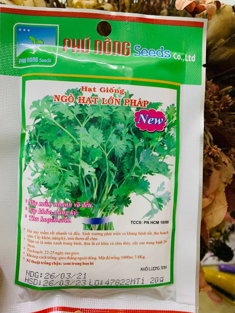 Hạt Giống Ngò Rí (Rau Mùi) - Thơm ngon, dễ trồng