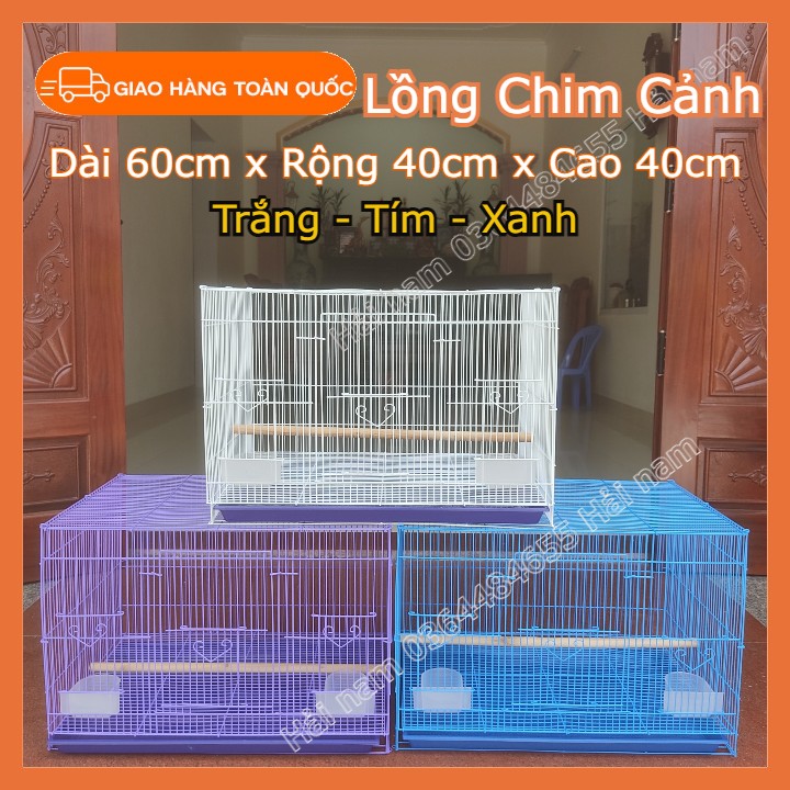 Lồng nuôi chim, lồng nuôi chim nhỏ tập trung, lồng nuôi chuột, chim sinh sản size 60x40x40