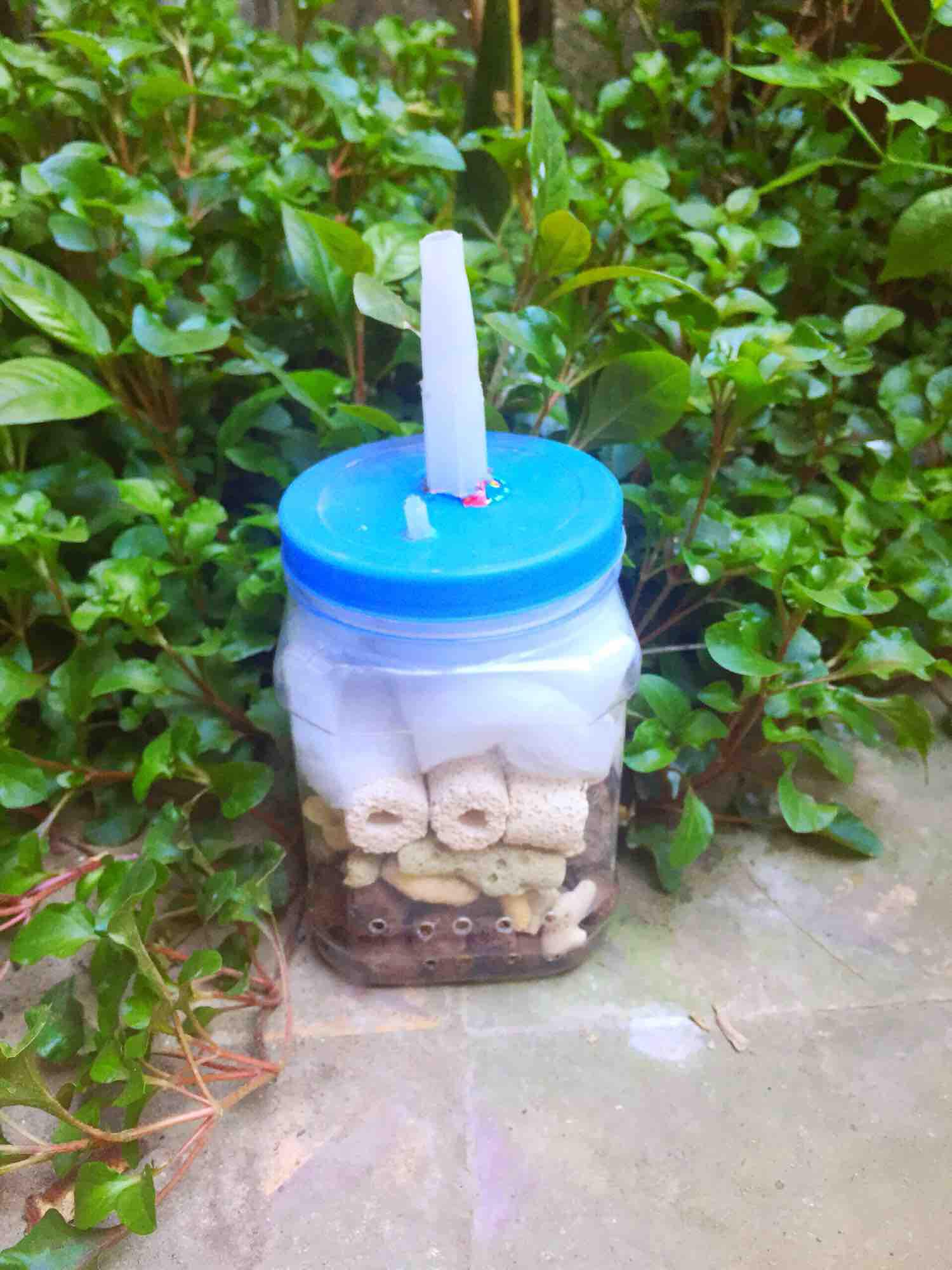 Lọc vi sinh tự chế dành cho hồ cá cảnh