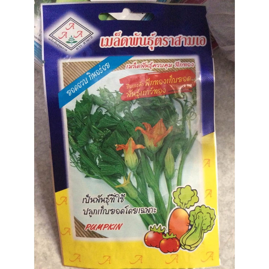 Hạt giống rau bí siêu ngọn, siêu nụ Thái lan gói 2gr_Rau bí ăn ngọn, hoa, quả bao tử nhập khẩu nguyên gói