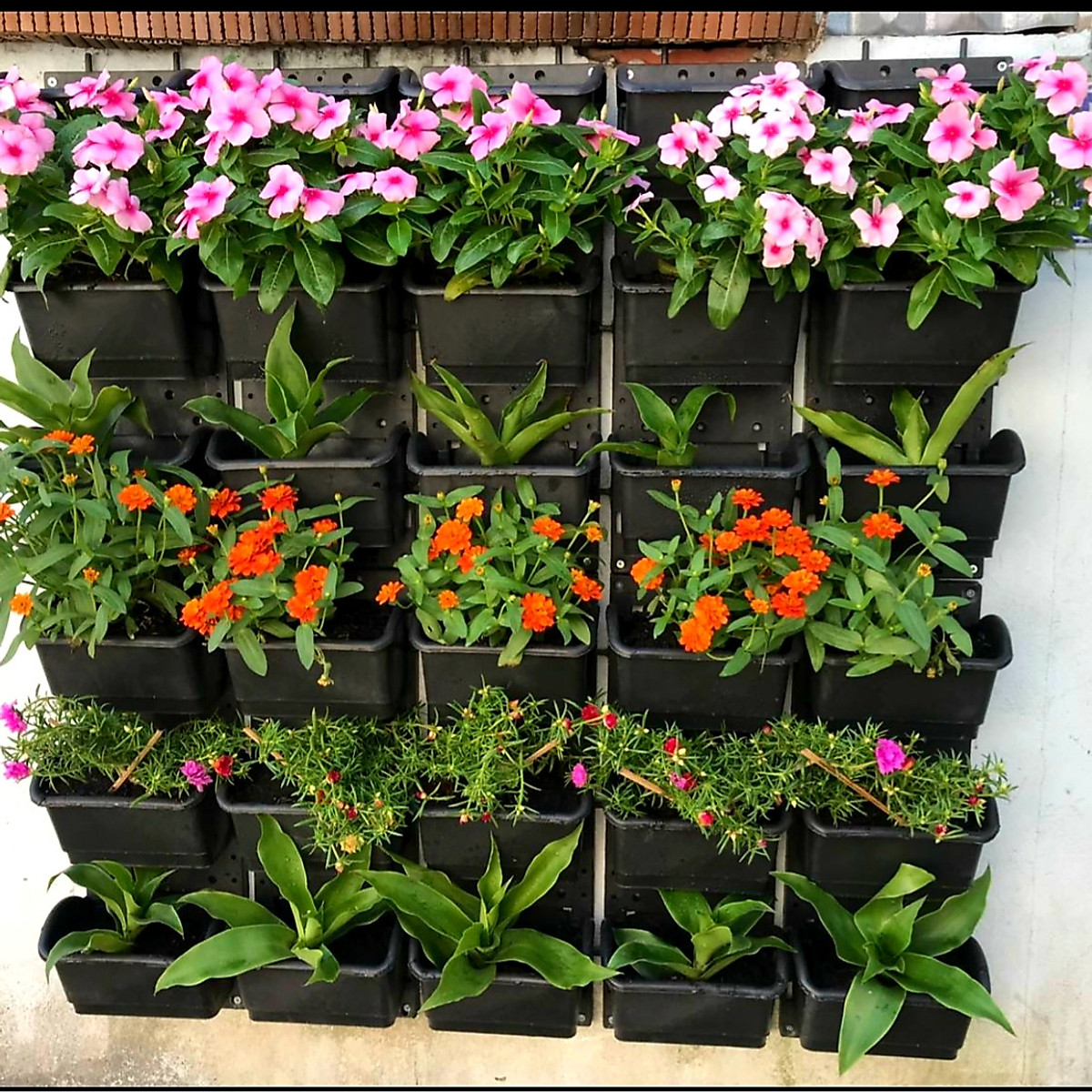 1m2 Khung & chậu vườn tường JupiWall-35: 2 lựa chọn khung đỡ, dễ tháo lắp và thi công.