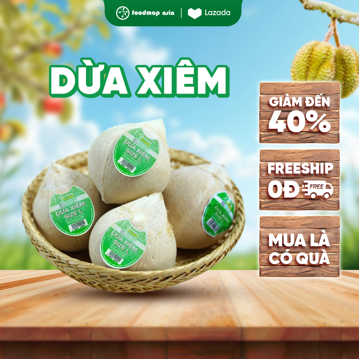 Dừa Xiêm Size L (400gr - 500gr) - Tươi Ngon, Ngọt Nước Loại Thượng Hạng - Foodmap Fruits