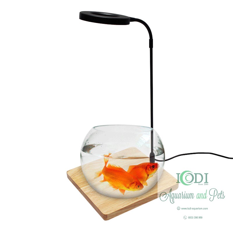 Đèn bể cá đế gỗ cho bể cá cảnh bể thuỷ sinh