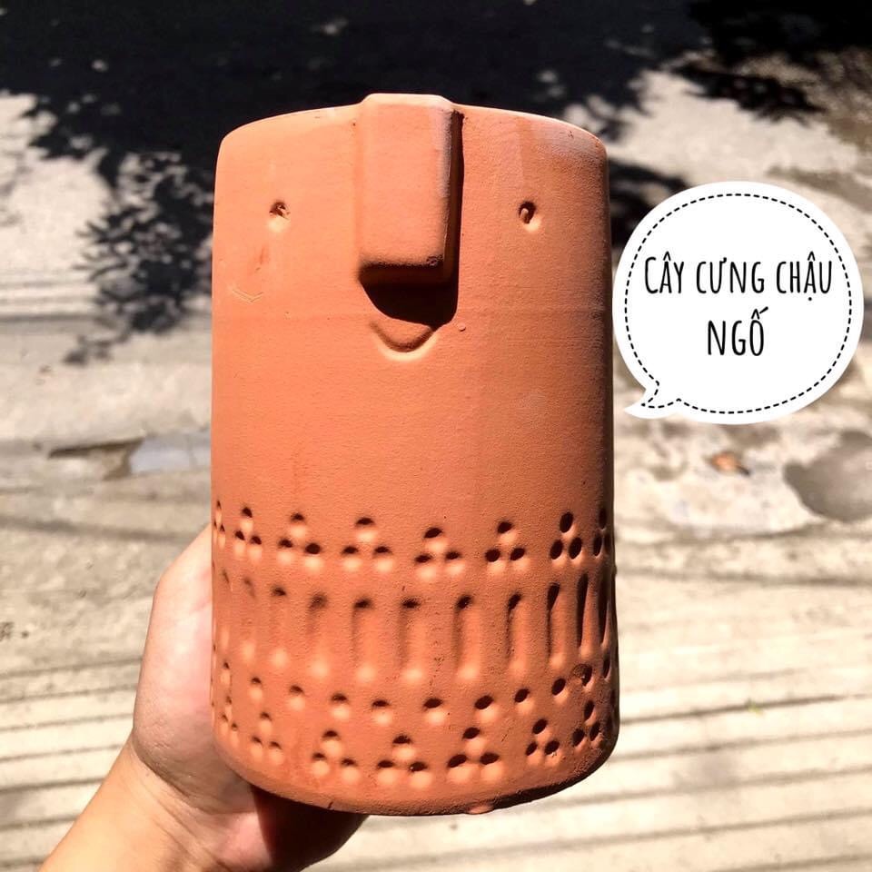 Chậu mặt cười xinh xắn