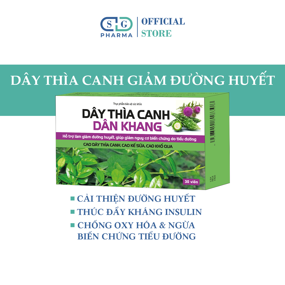 Dây thìa canh dân khang giúp hạ đường huyết, giảm nguy cơ biến chứng do tiểu đường
