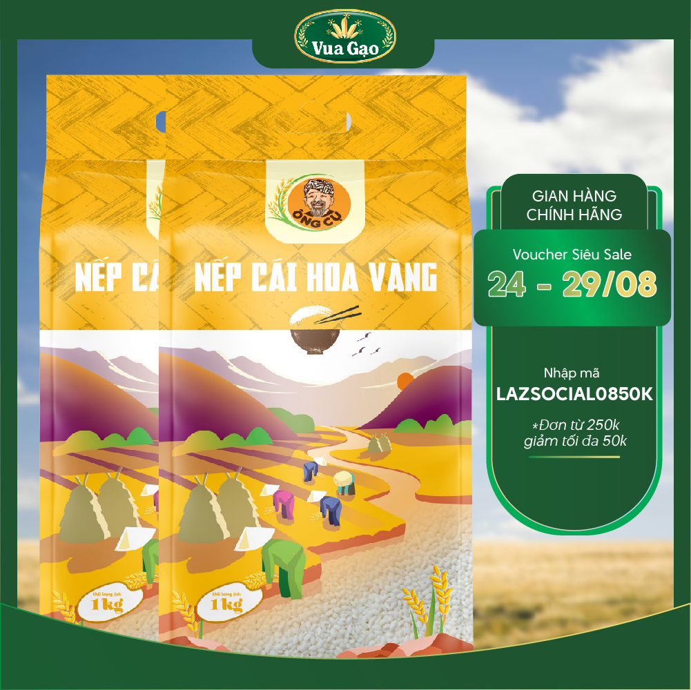 Combo 2 túi gạo nếp cái hoa vàng - túi 1kg