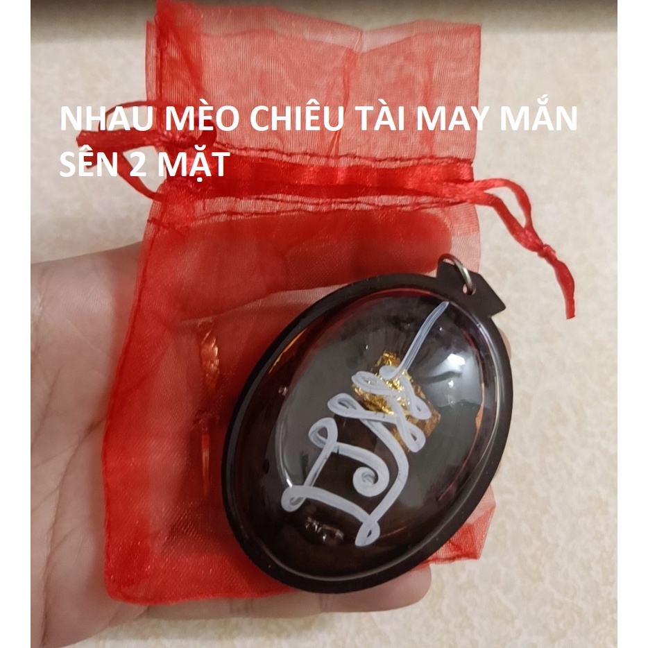 Nhau mèo phong thủy tài lộc may mắn