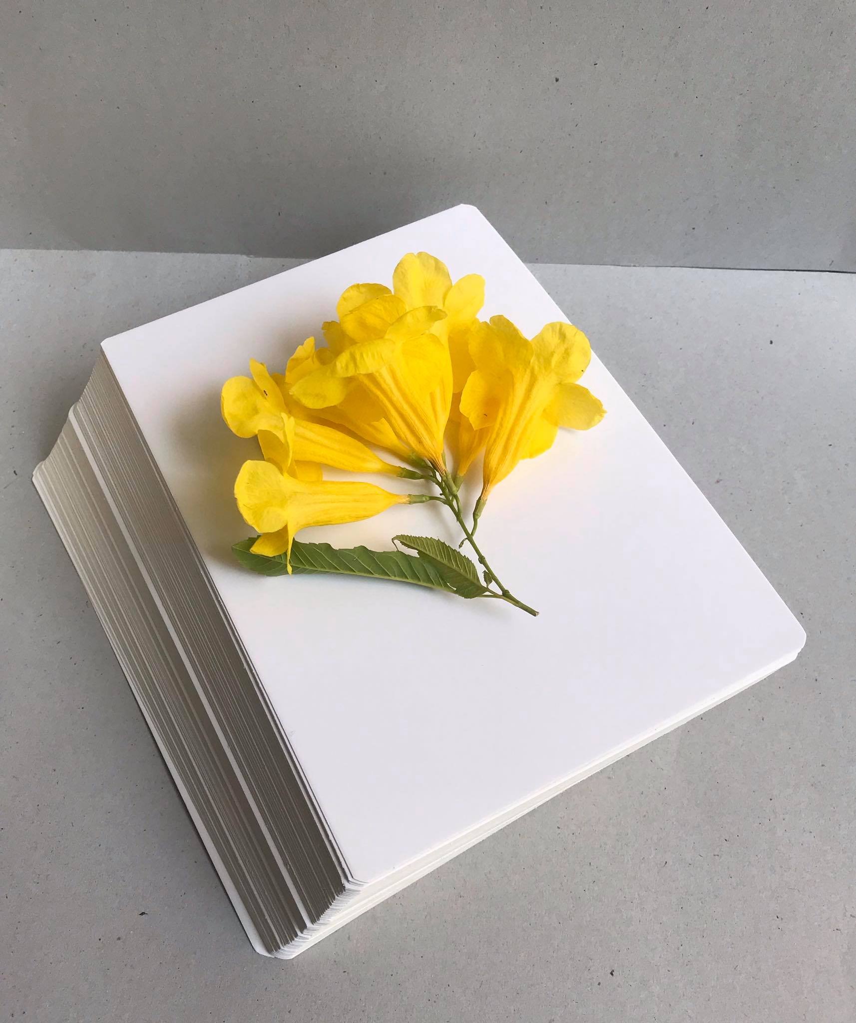 Giấy bìa cứng A4 màu trắng định lượng: 120gsm; 160gsm; 200gsm; 250gms;(100 tờ /tập)