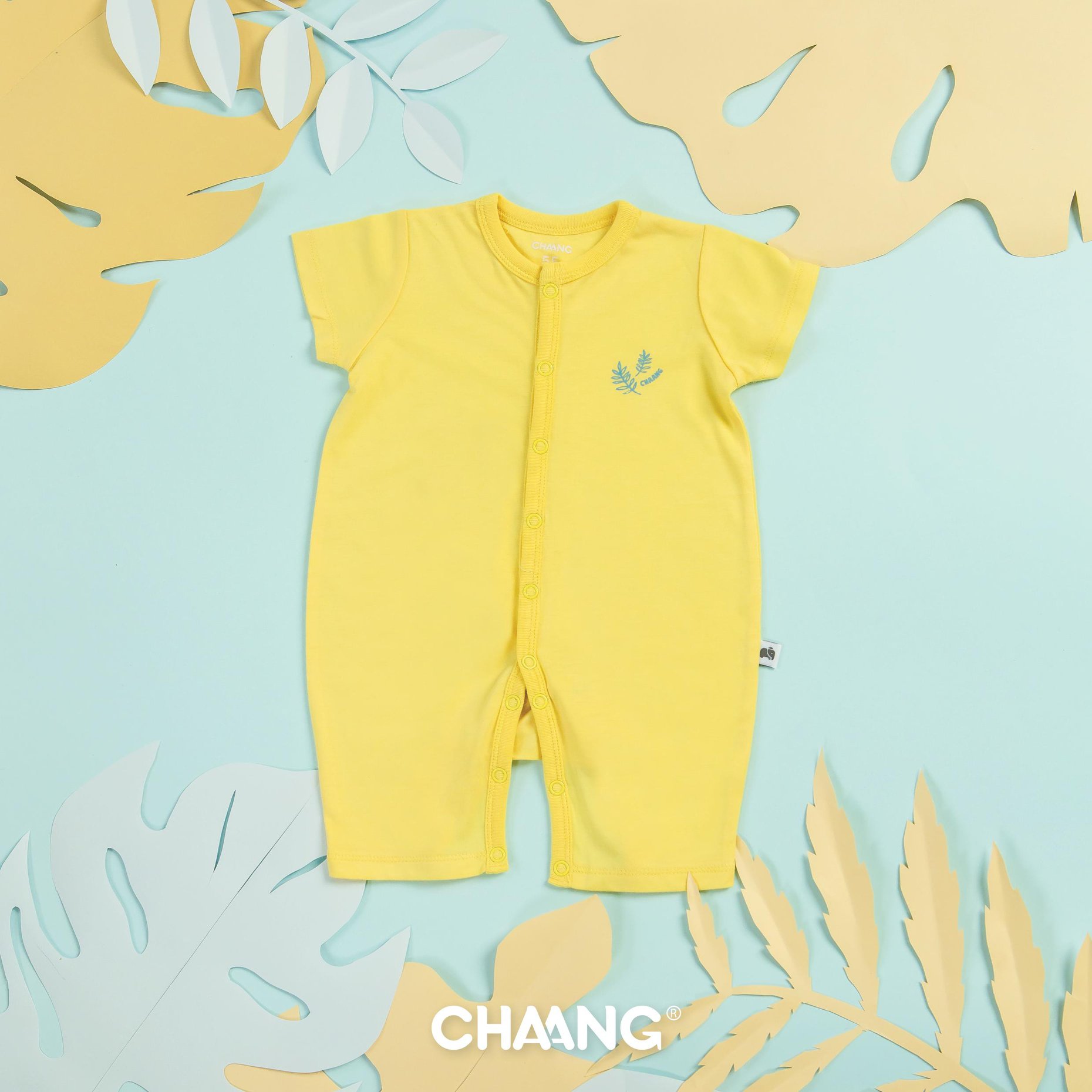 Body cộc Chaang