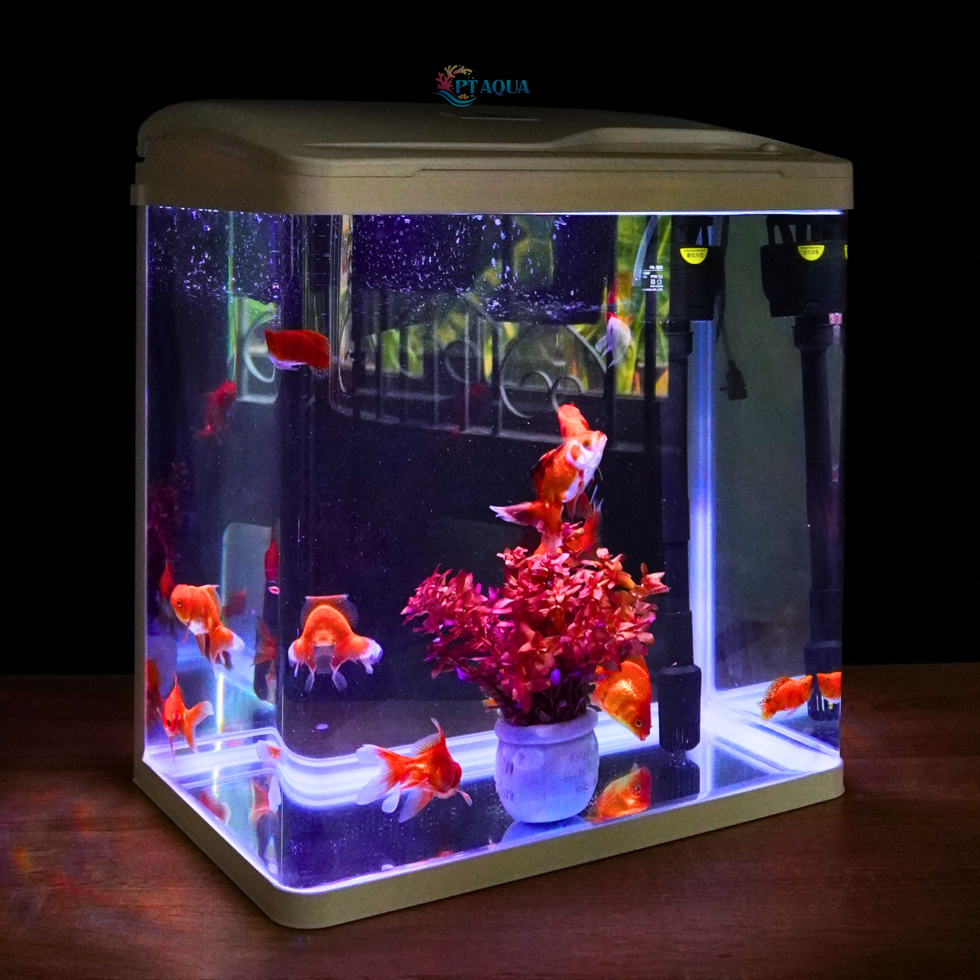 Bể Cá Cảnh Kính Đúc XS40 tích hợp LỌC và ĐÈN , Dài 38cm Rộng 24cm Cao 42cm