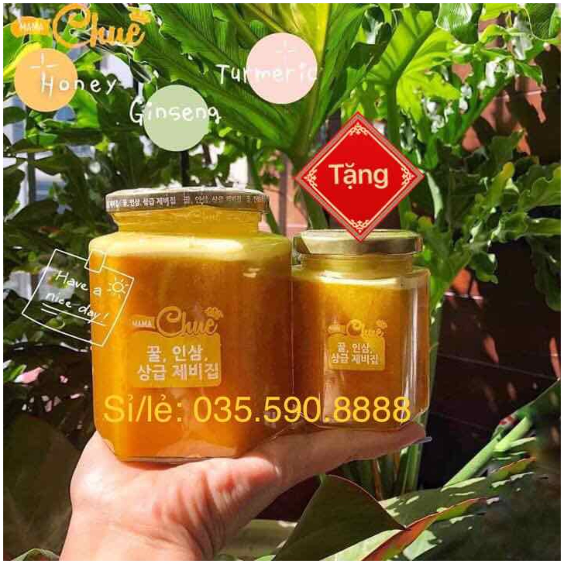 Sâm nghệ mật ong mama Chue