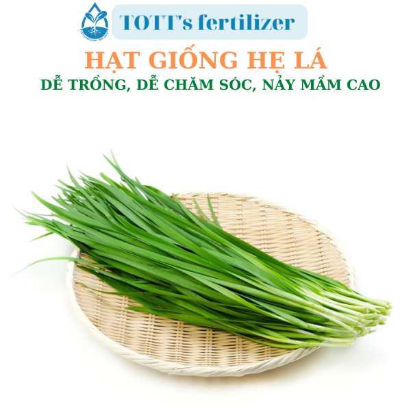 Hạt giống hẹ dễ nảy mầm dễ trồng TOTT's fertilizer